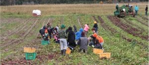 Farm Visits