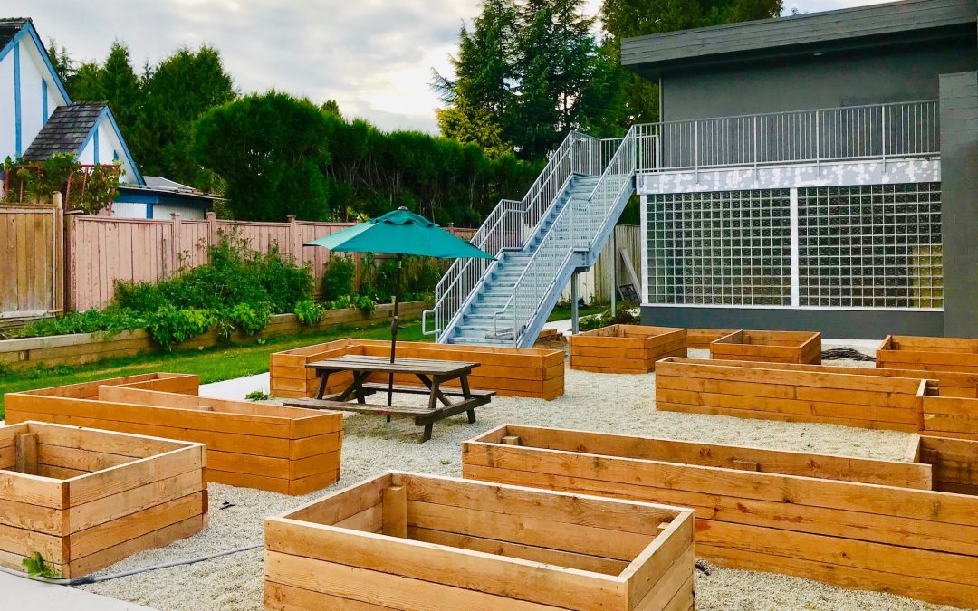 A New Learning Garden Grows at Deer Lake School