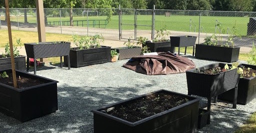 School Garden Surrey