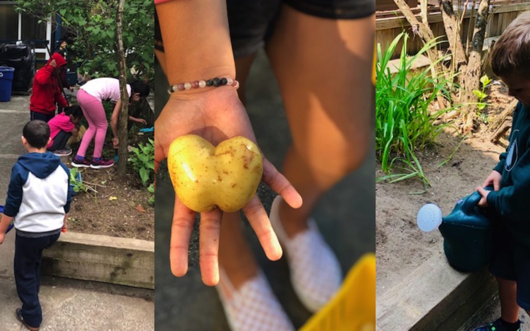 Surrey Kids Are Digging Up the Dirt . . .  at Their School