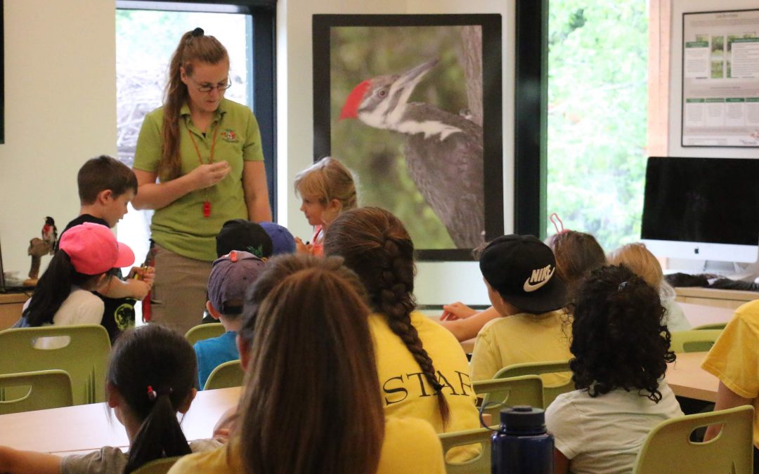 Working with Le Nichoir, Wild Bird Conservationists to Grow School Gardens in Quebec