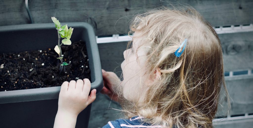 Seeds of Inspiration