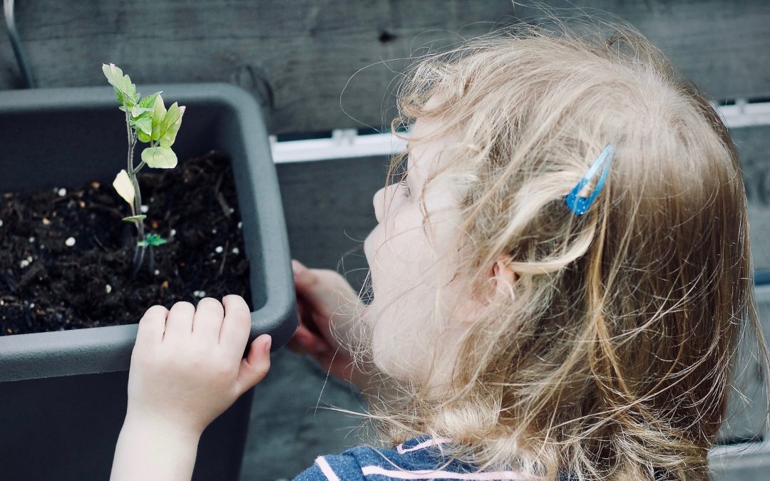 Seeds of Inspiration Continue to Grow in Schools Across Canada