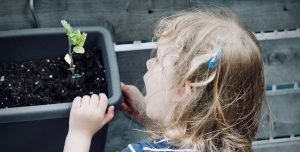 Seeds of Inspiration