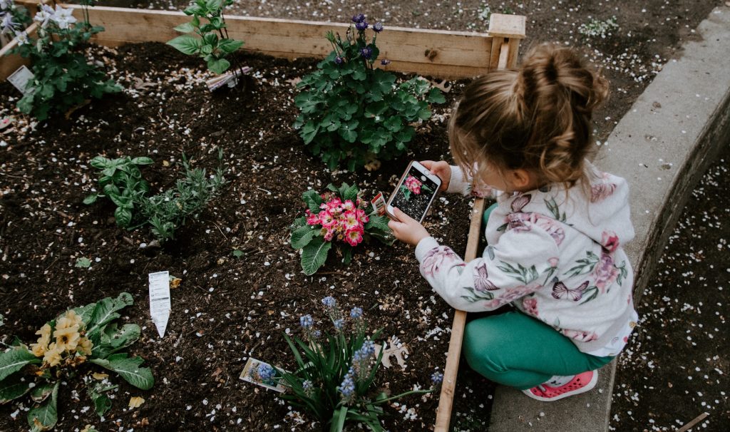 How to Prepare Your Garden for Spring