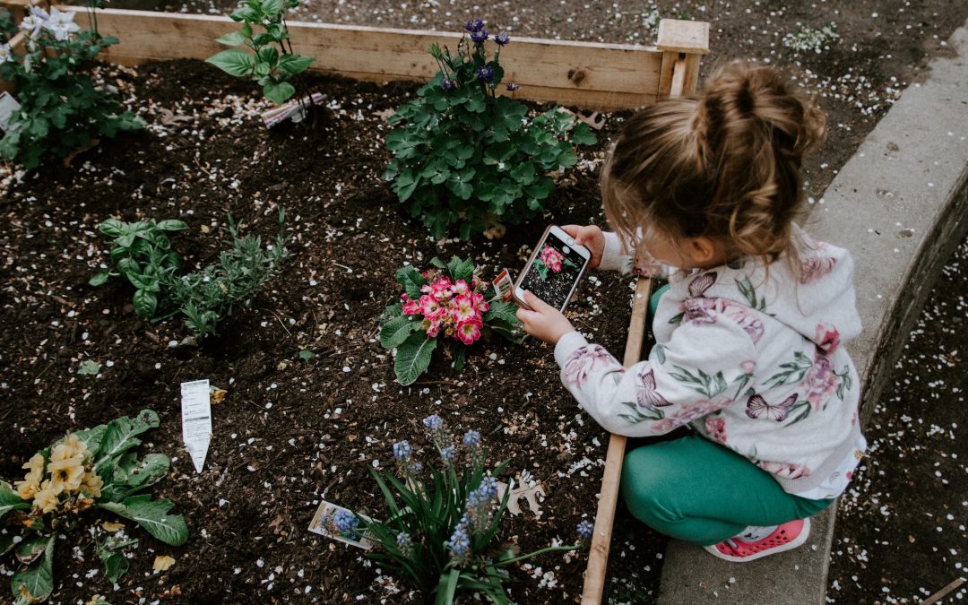 How Your Child Can Make Early Preparations for Their Spring Garden