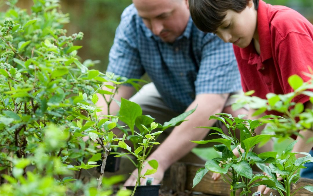 Celebrating Garden Days Canada 2021