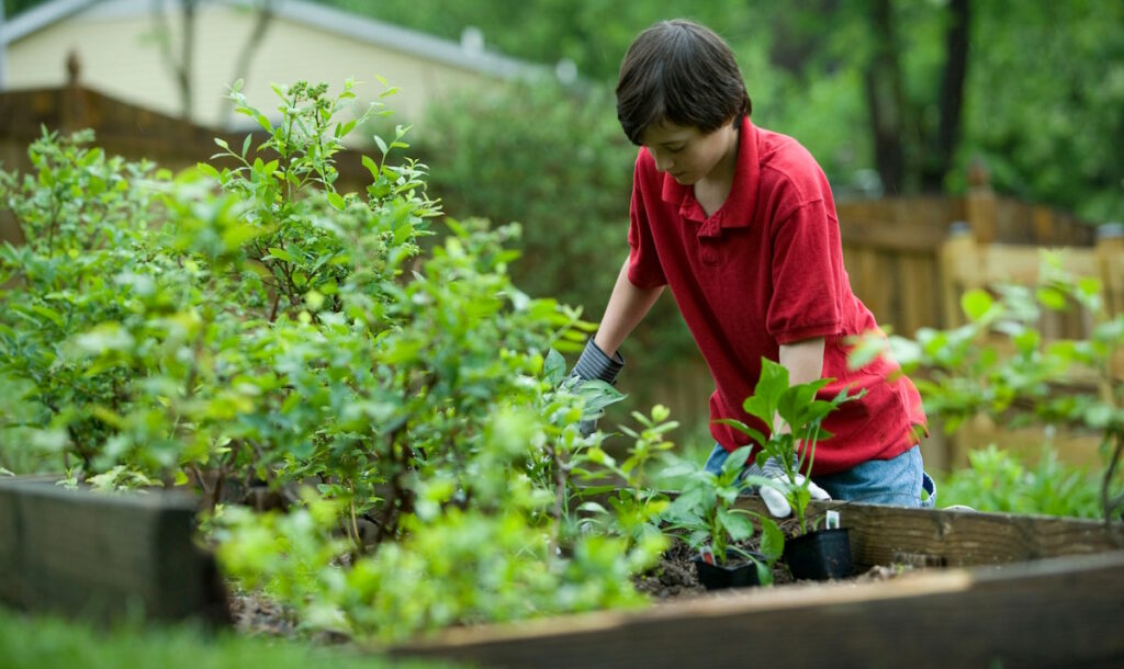 New Year's Resolutions for Gardeners