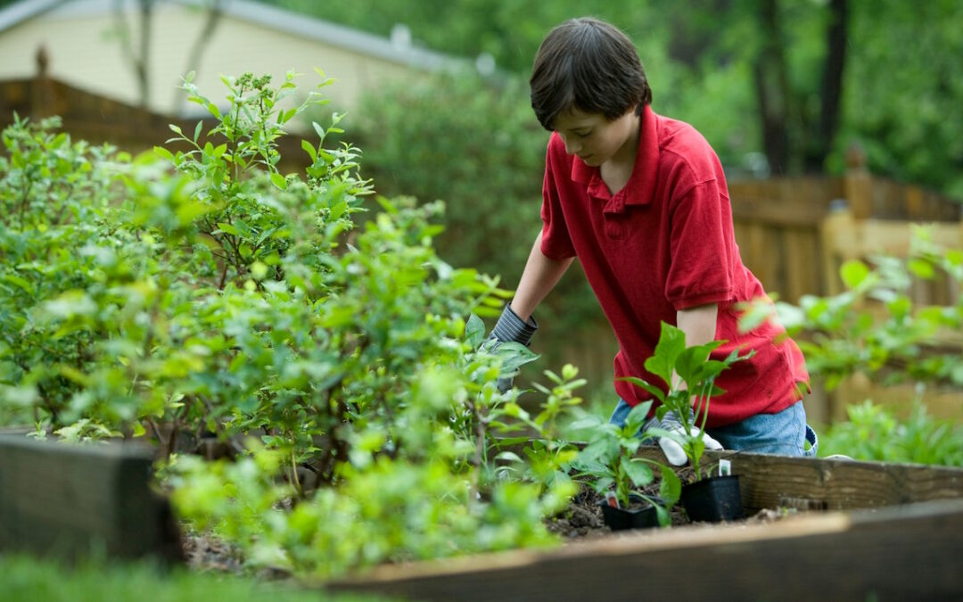 New Year’s Resolutions for Young Gardeners