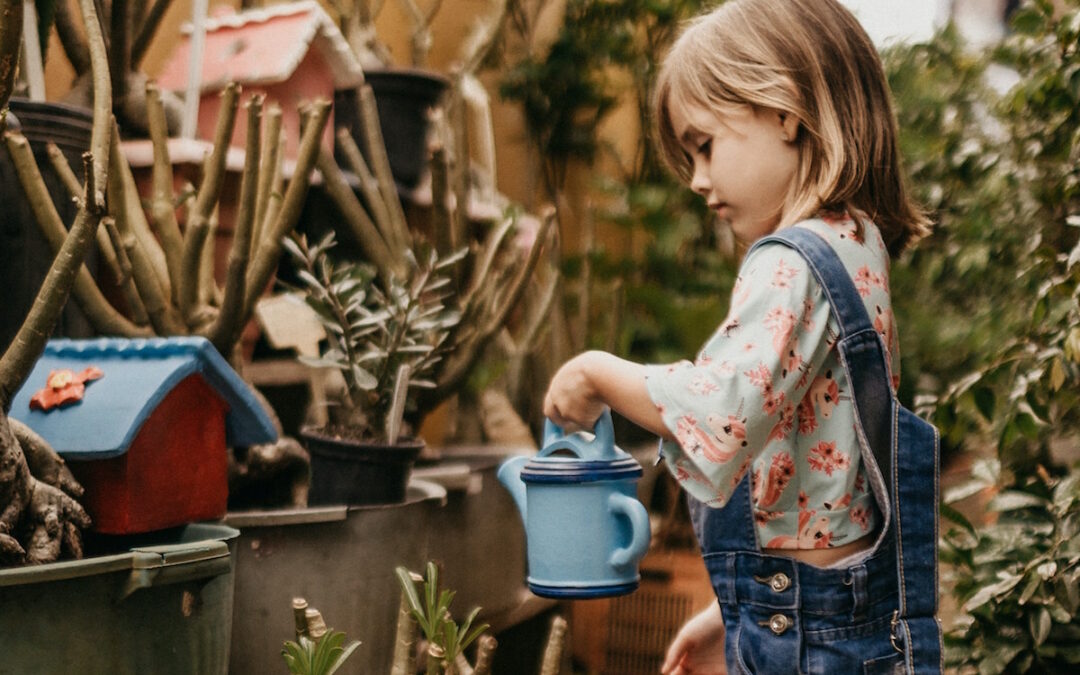 How to Climate Proof Your Family Garden