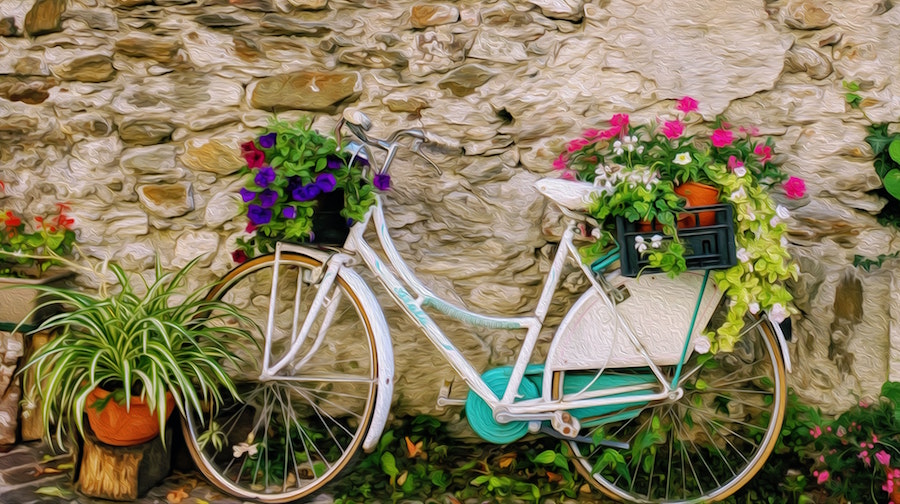 How to Celebrate World Bicycle Day