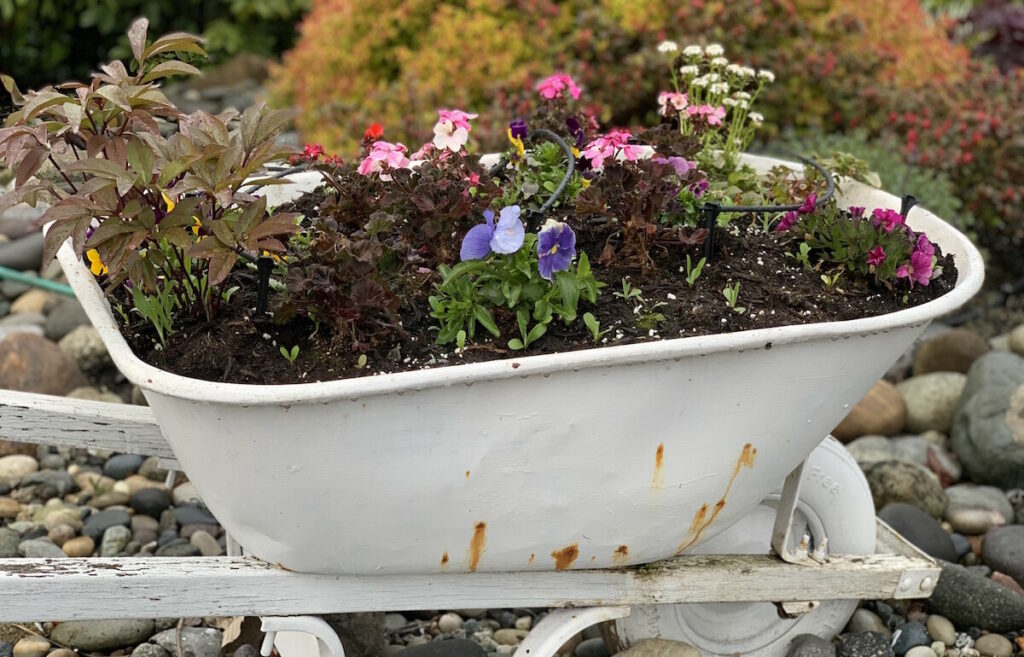 Garage Sale Gardening Activity for the Family