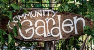 Why Visit Community Gardens