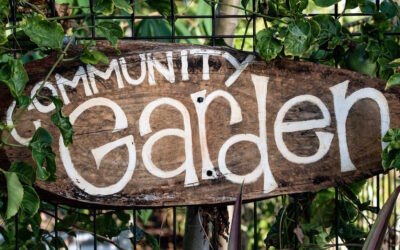 Why Visit Community Gardens on Summer Vacation