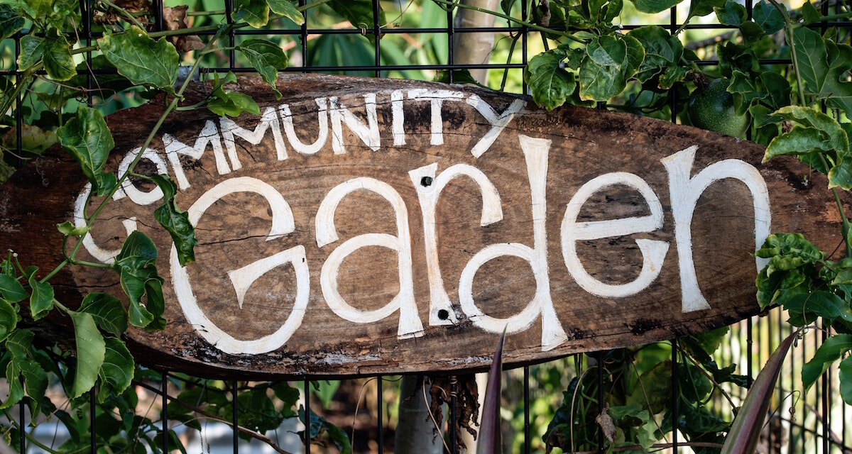 Why Visit Community Gardens
