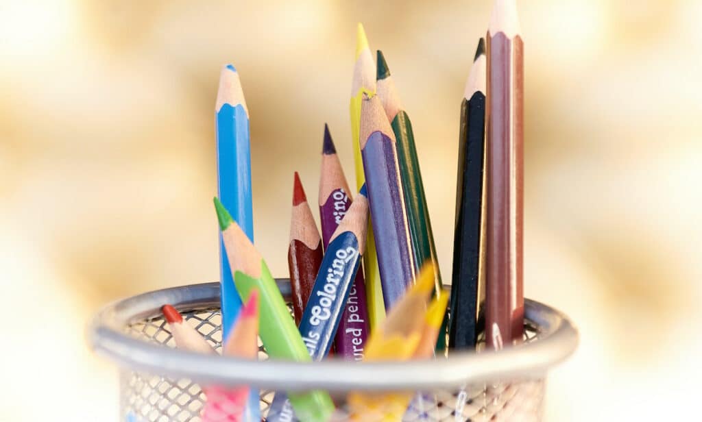 Back to School Backyard Gardening