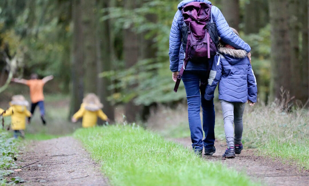 Hiking for Your Backyard Garden