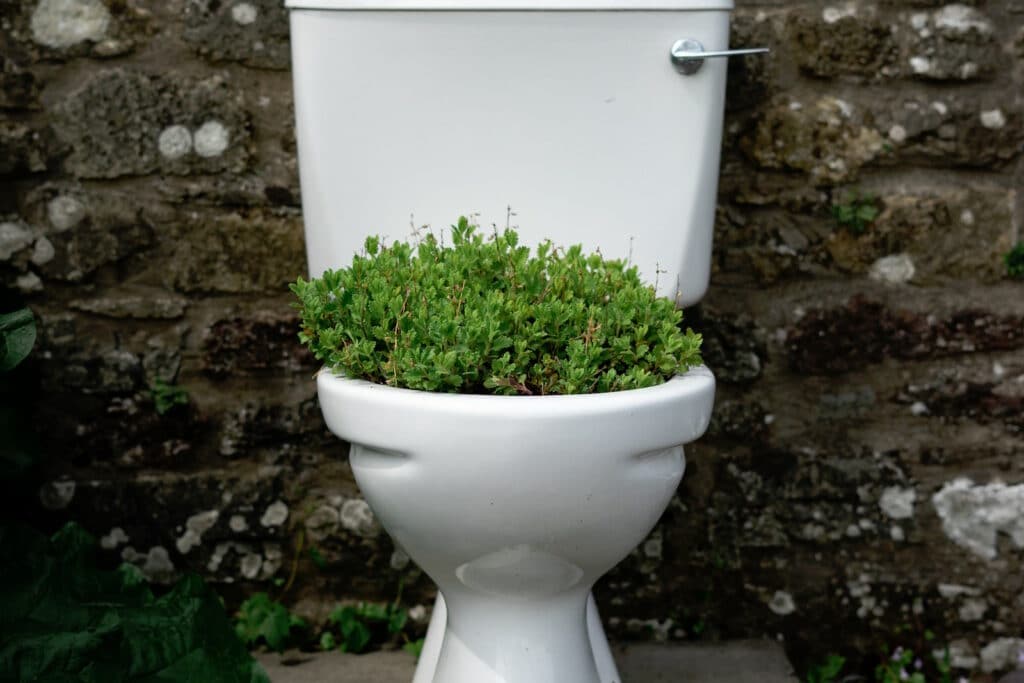 How to Celebrate...World Toilet Day