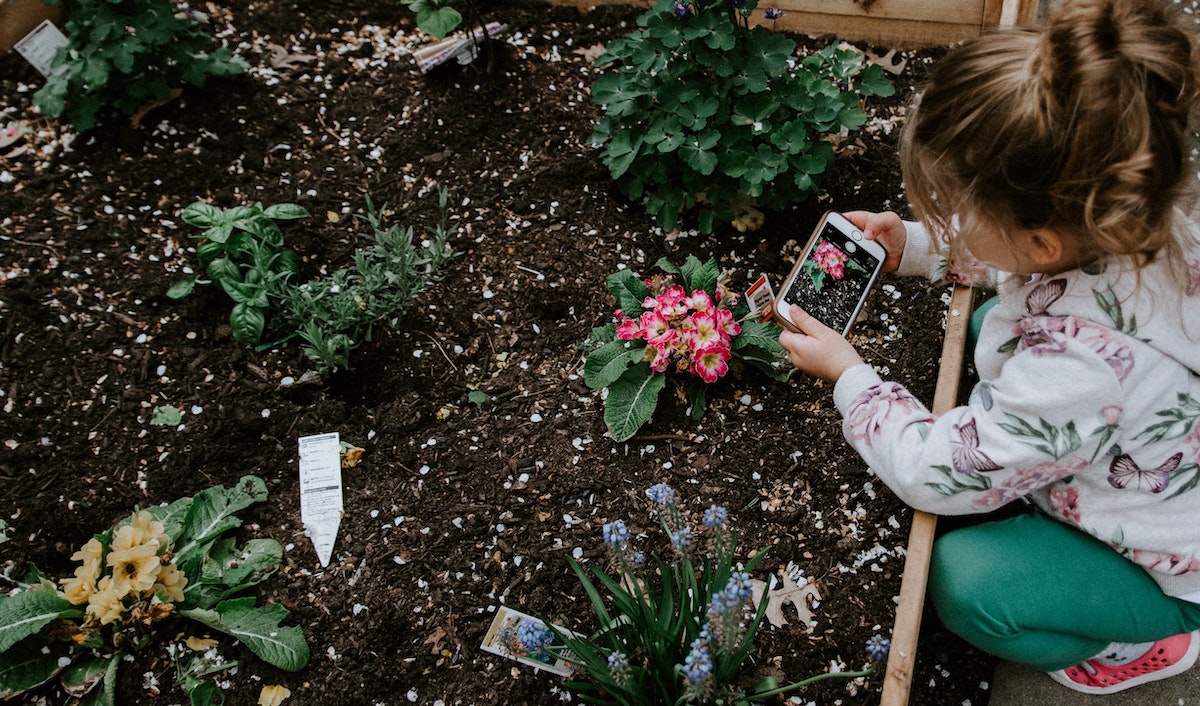 Protecting Your Garden When Away for Spring Break