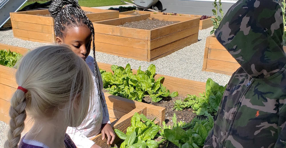 Gardening in the City