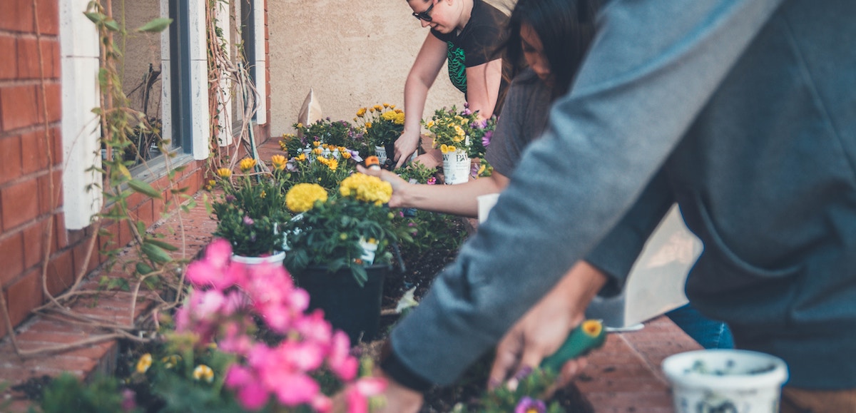 Inclusive Garden