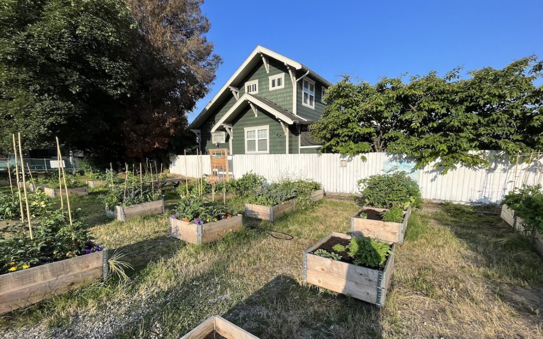 Benefits of Having a Community Garden in Your Neighbourhood