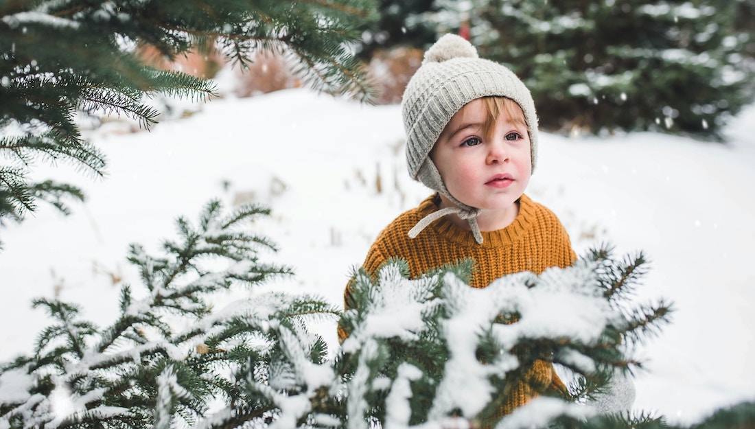 How to Keep Kids Interested in Gardening Through the Winter