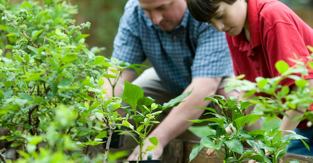 Observational Learning from Parents