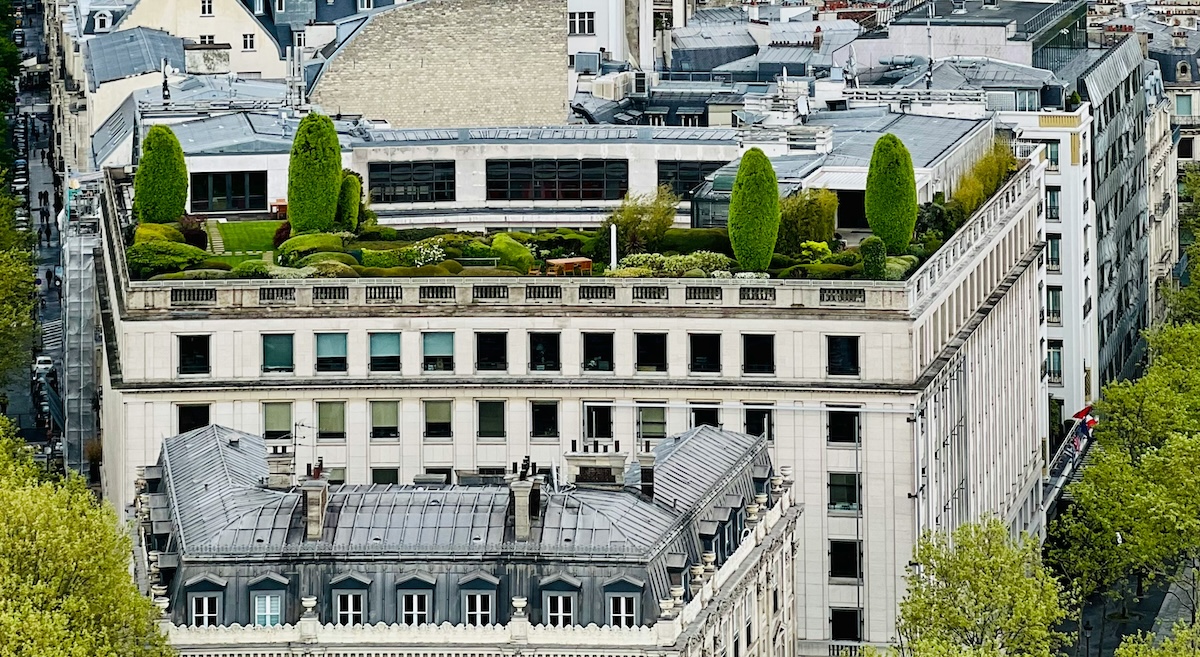 How to Get Closer to Nature - Rooftop Garden