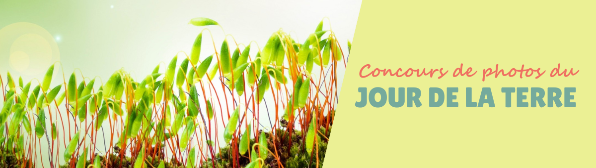 Photo Contest Header - French