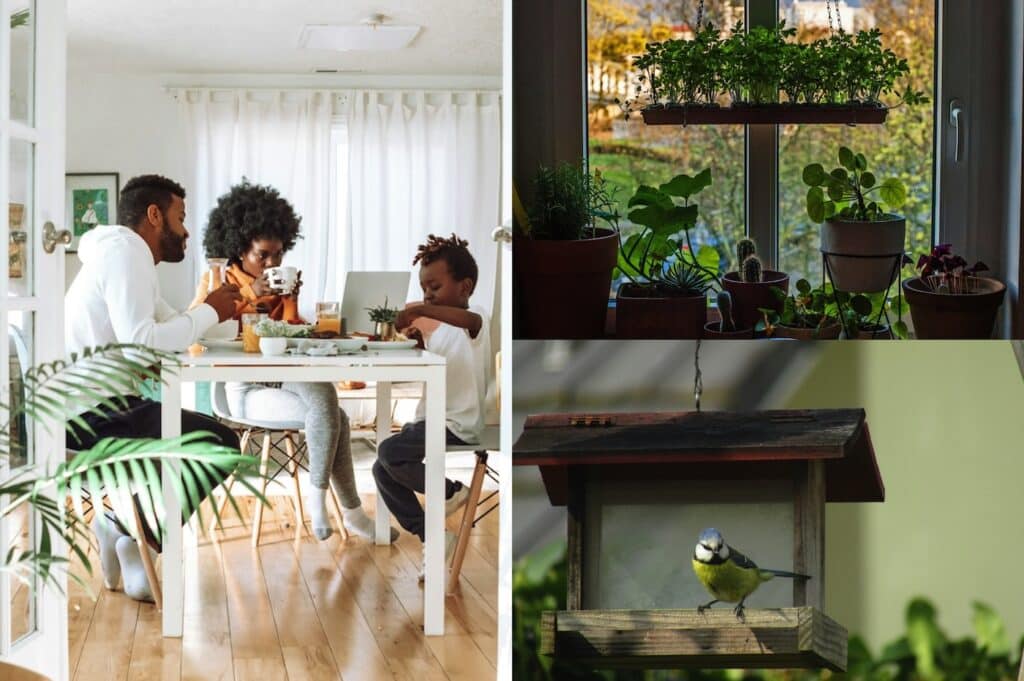 How to Bring Nature Into Your Home