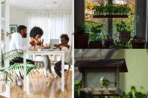 How to Bring Nature Into Your Home