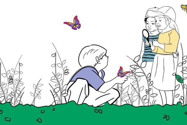 Cover_image_Pollinators
