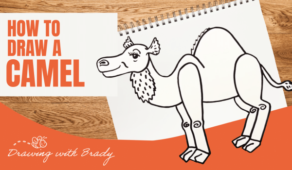 Drawing with Brady Thumbnails-2- Camel Final