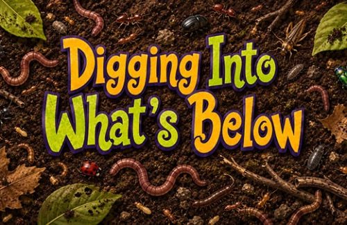 Episode_05_Title_Good copy