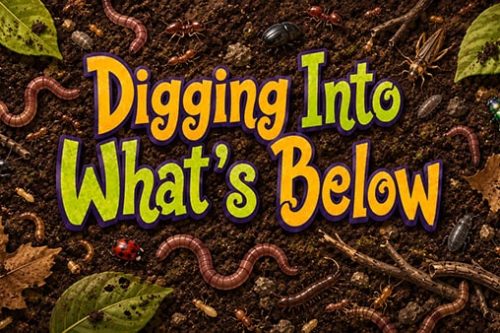 Episode_05_Title_Good copy