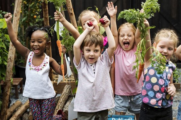 Group of kindergarten kids learning gardening outdoors