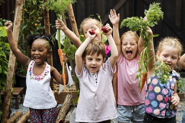 Group of kindergarten kids learning gardening outdoors