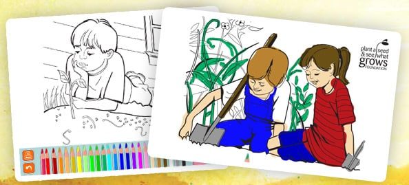 Plant A Seed Colouring Books